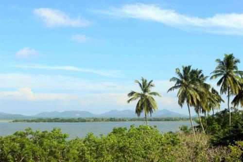 سوییت, Thaulle Ayurveda Resort   Yala