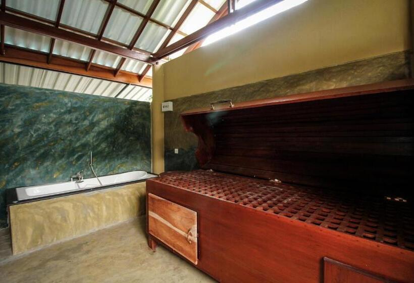 اتاق لوکس, Rockery Villa Ayurveda