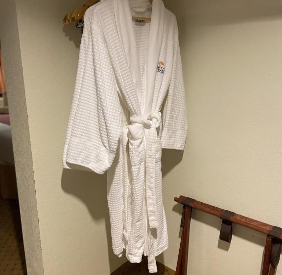اتاق استاندارد با وان آب گرم, Carson Hot Springs Resort & Spa