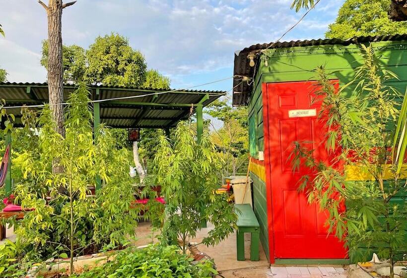 اتاق اکونومی یک تخته, Judy House Cottages And Rooms