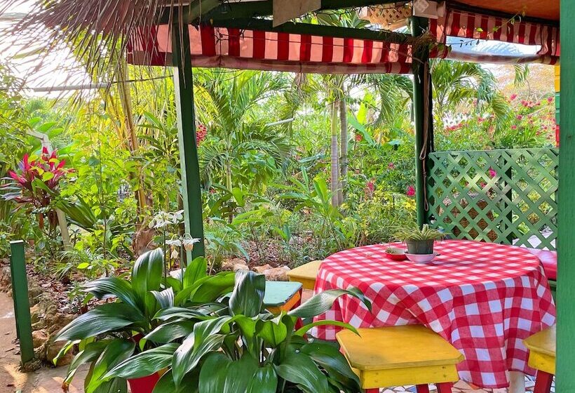 اتاق اکونومی, Judy House Cottages And Rooms