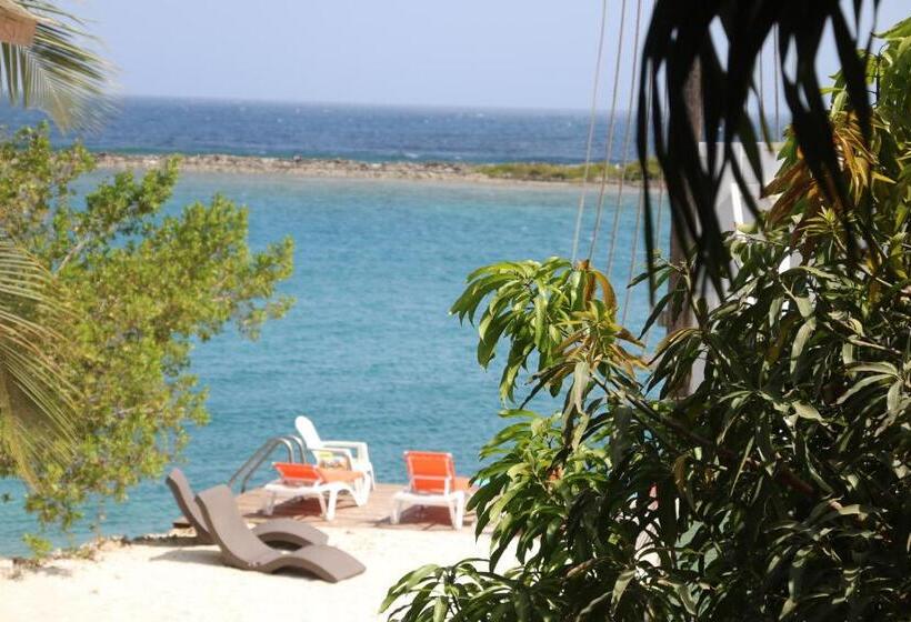 سوییت خانوادگی, Coral Reef Beach