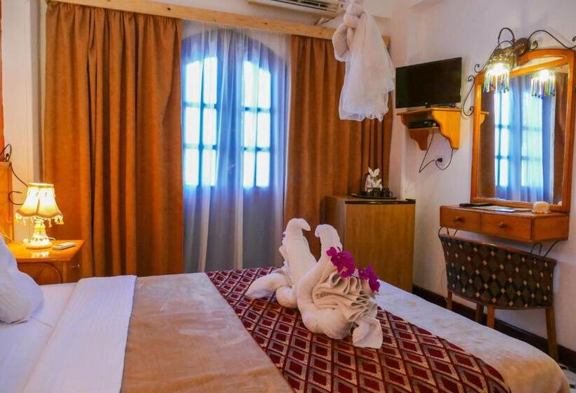 اتاق استاندارد یک نفره, El Gezira Garden Hotel Luxor