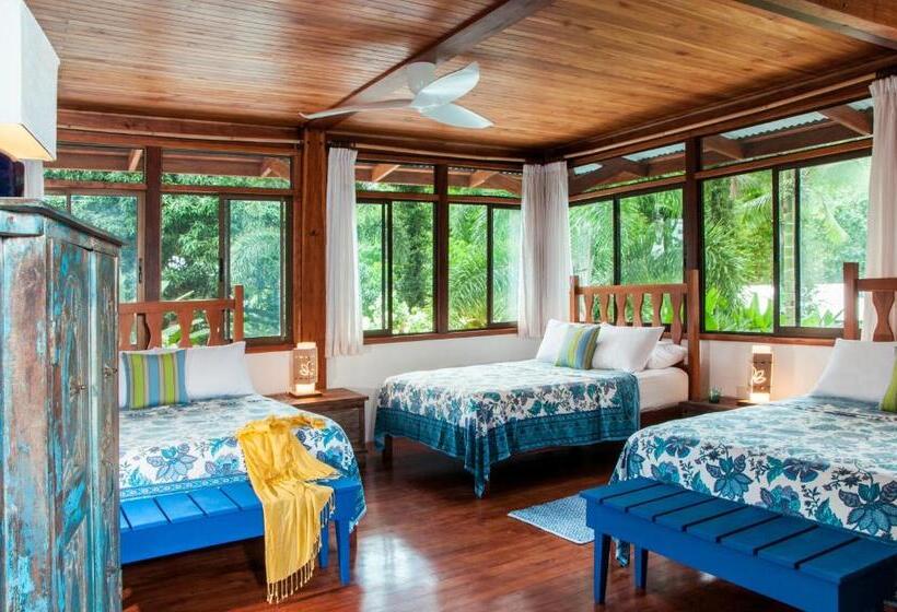 اتاق سه نفره دلوکس با چشم‌انداز دریا, Blue Osa Beach Resort & Spa