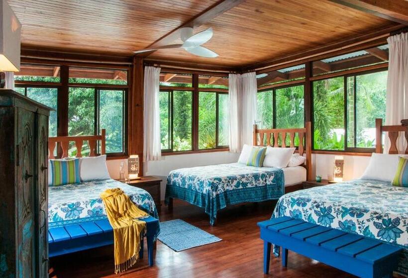 اتاق سه نفره دلوکس با چشم‌انداز دریا, Blue Osa Beach Resort & Spa