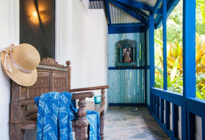 بانگلوی استاندارد, Blue Osa Beach Resort & Spa
