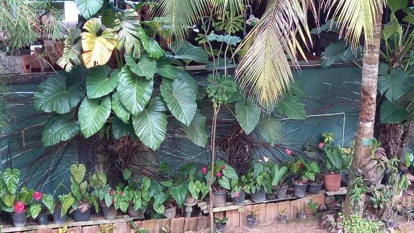اتاق استاندارد با چشم‌انداز باغ, Nooit Gedacht Holiday Resort Unawatuna