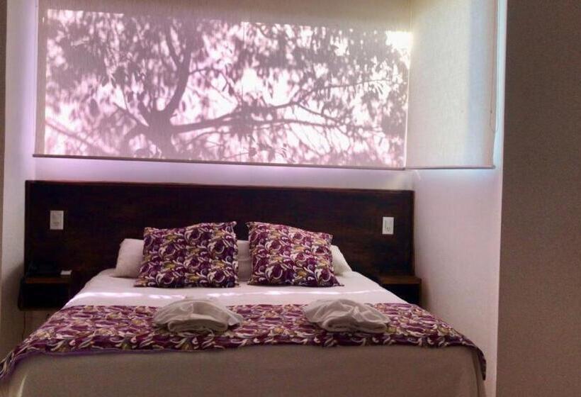 اتاق لوکس, Rainforest Hotel & Cabañas