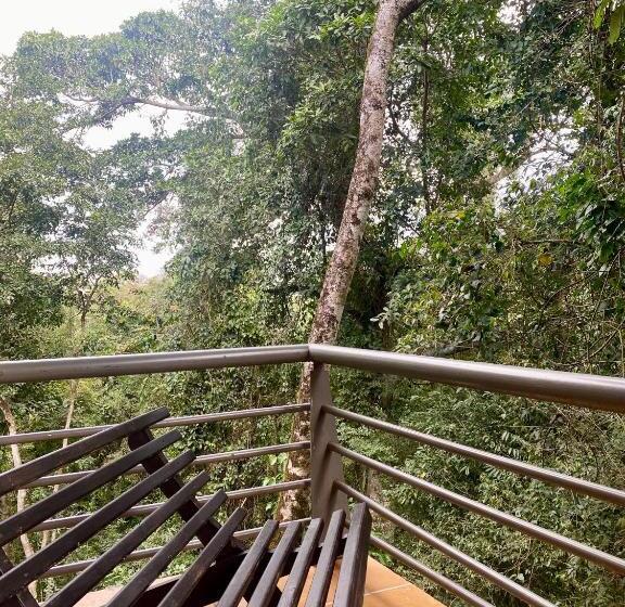 اتاق خانوادگی, Rainforest Hotel & Cabañas