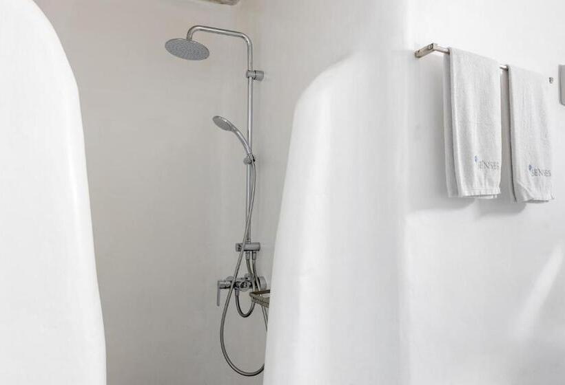 ویلای 3 خوابه با استخر, Senses Villas