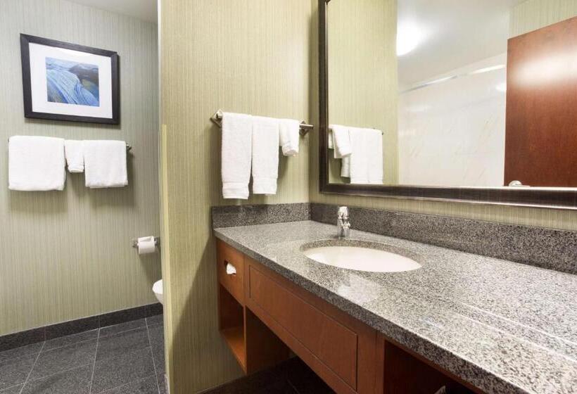 اتاق دلوکس مخصوص معلولین, Drury Inn & Suites Colorado Springs