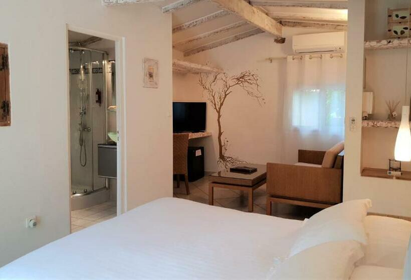 اتاق استاندارد با چشم‌انداز باغ, Private Hôtel   Adult Only