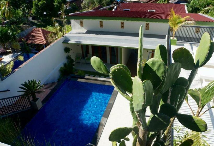اتاق لوکس, Villa Mataano