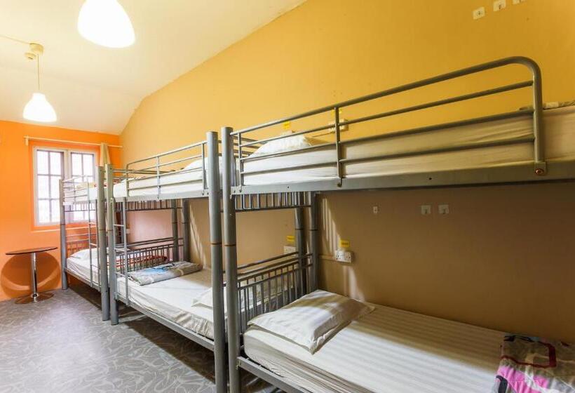 تختخواب در اتاق مشترک, The Hive Singapore Hostel