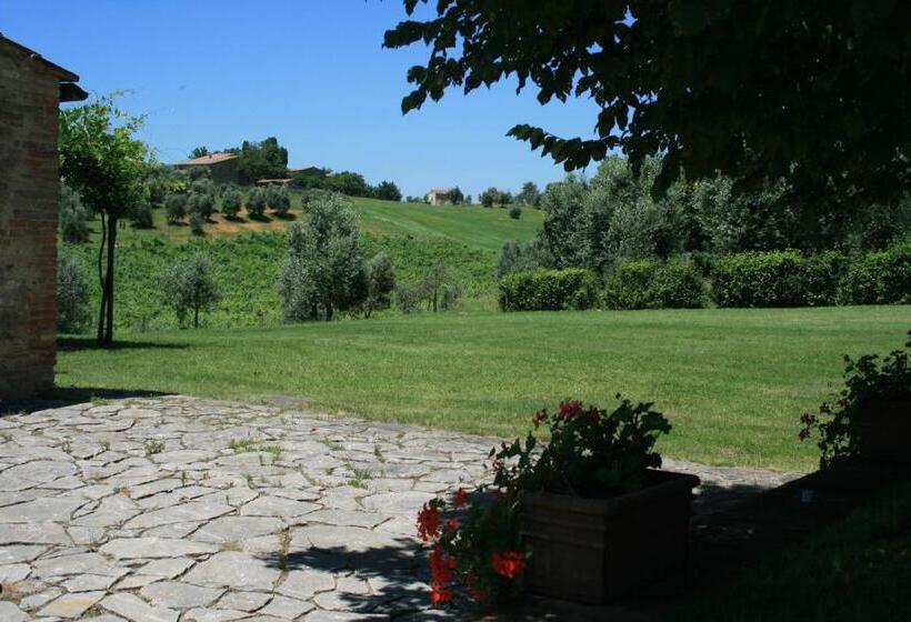 آپارتمان سوپریور 1 خوابه, Tenuta Di Monaciano