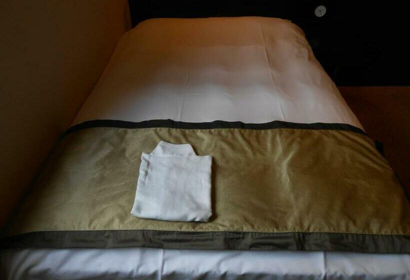 اتاق استاندارد یک نفره, My Hotel Ryugu