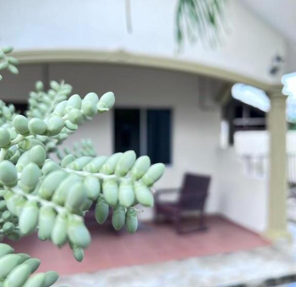 اتاق اکونومی یک تخته, Dhania Cenang Beach Motel