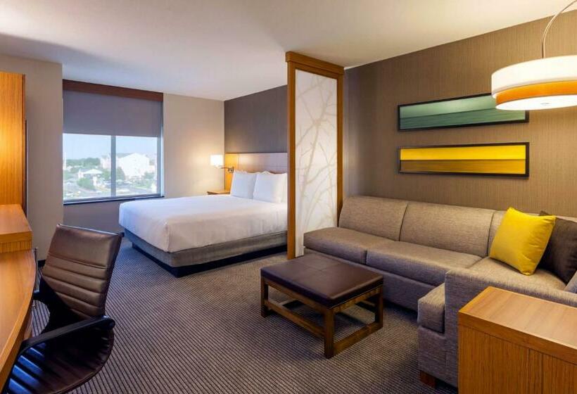 اتاق استاندارد با تخت بزرگ, Hyatt Place Chicago Midway Airport