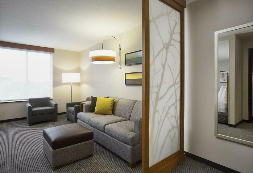 اتاق استاندارد با تخت بزرگ, Hyatt Place Chicago Midway Airport