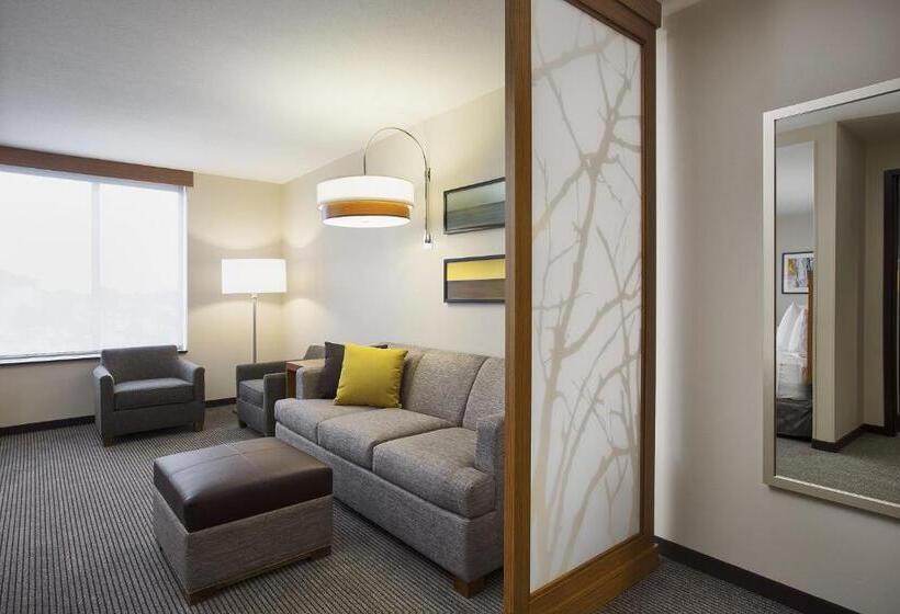 اتاق استاندارد برای معلولان, Hyatt Place Chicago Midway Airport