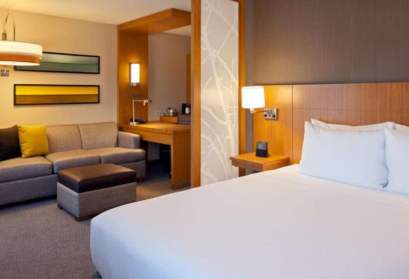 اتاق استاندارد برای معلولان, Hyatt Place Chicago Midway Airport