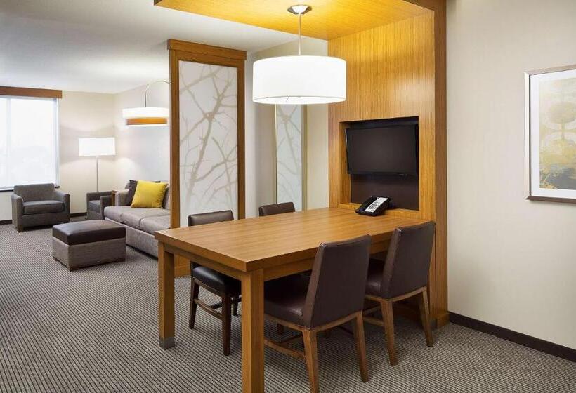 اتاق استاندارد با تخت بزرگ, Hyatt Place Chicago Midway Airport