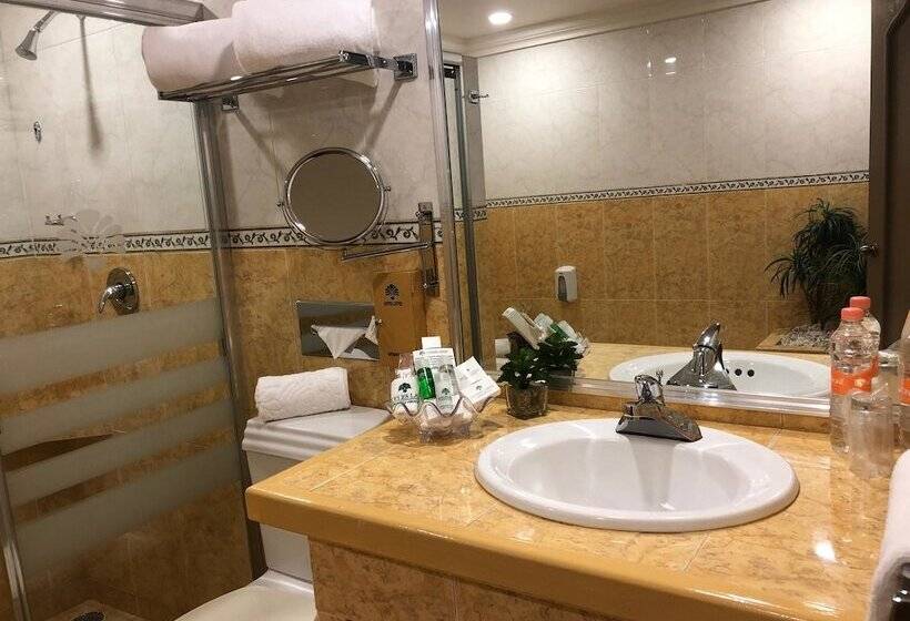 اتاق استاندارد, Suites Layfer, Cordoba, Veracruz, Mexico