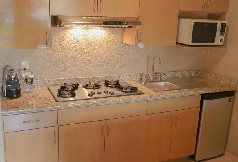 سوییت سوپریور, Suites Layfer, Cordoba, Veracruz, Mexico