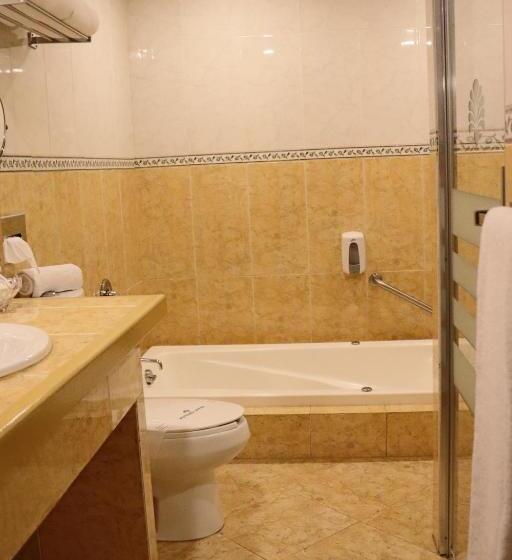 اتاق استاندارد با تخت بزرگ, Suites Layfer, Cordoba, Veracruz, Mexico