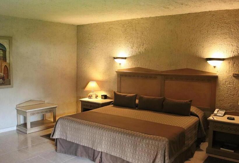 اتاق استاندارد با تخت بزرگ, Suites Layfer, Cordoba, Veracruz, Mexico