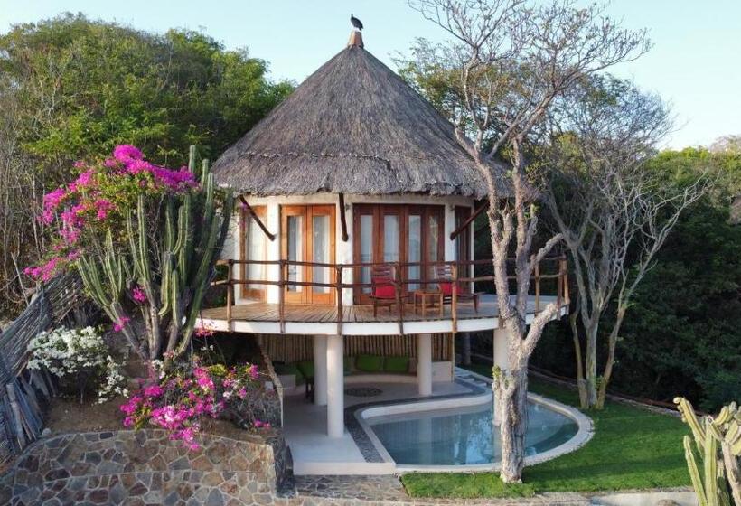 سوییت, Zoa Hotel   Adults Only