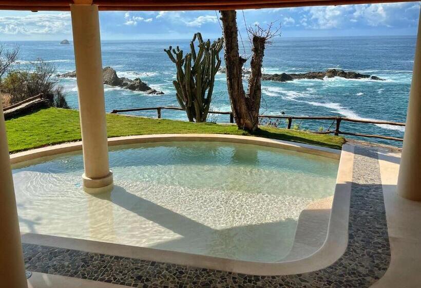 سوییت, Zoa Hotel   Adults Only
