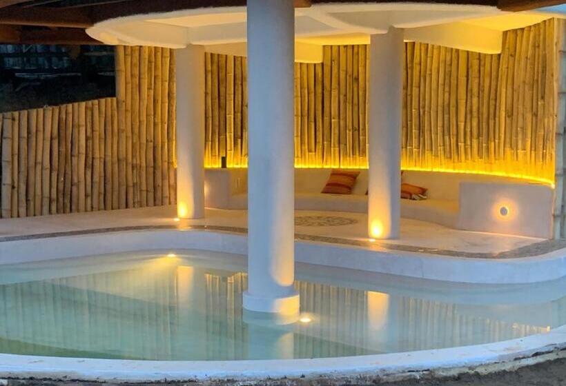 سوییت, Zoa Hotel   Adults Only
