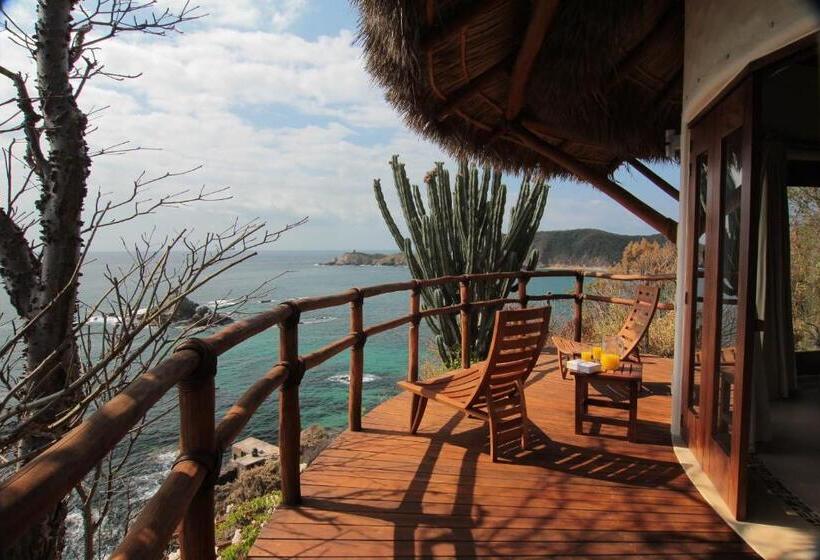 سوییت, Zoa Hotel   Adults Only