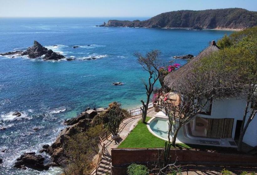 سوییت, Zoa Hotel   Adults Only