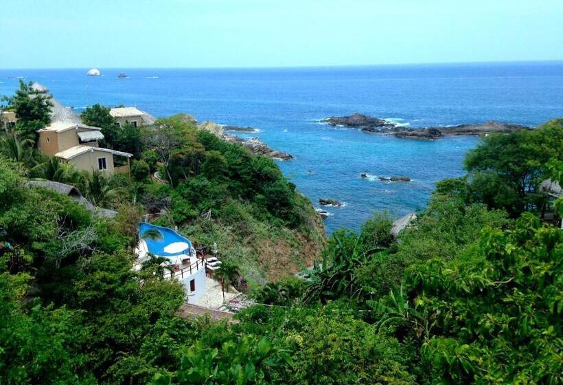 Suite with Terrace, Zoa Hotel   Adults Only