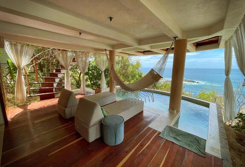 سوئیت با تخت بزرگ, Zoa Hotel   Adults Only