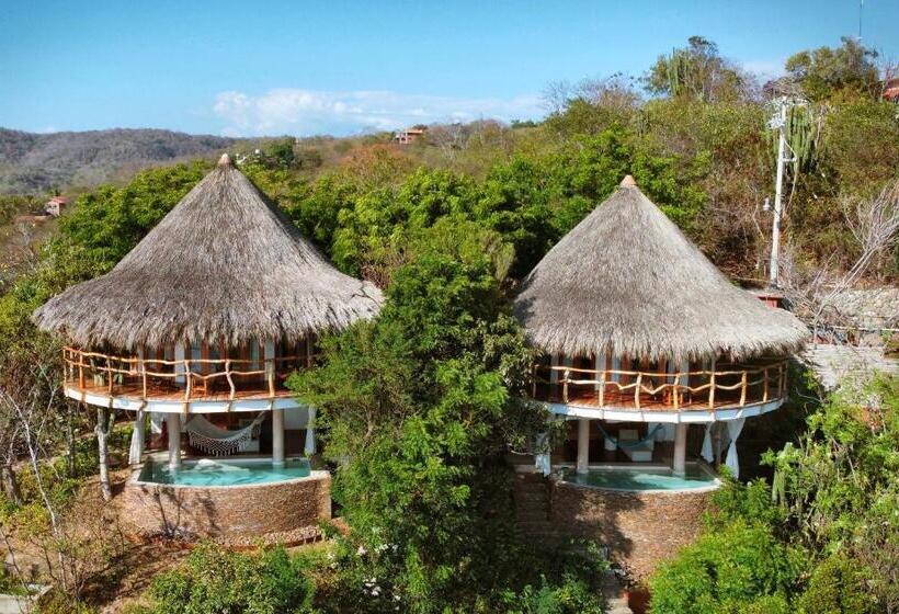 سوئیت با تخت بزرگ, Zoa Hotel   Adults Only