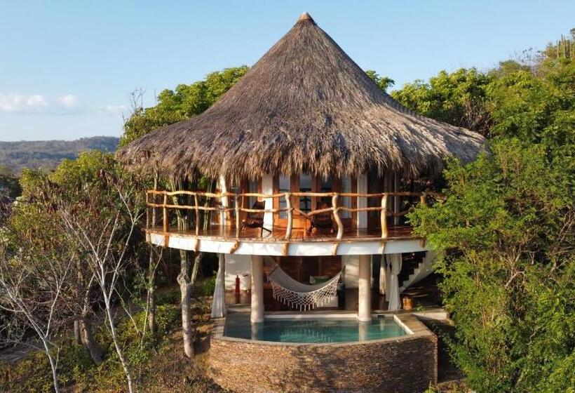 سوئیت با تخت بزرگ, Zoa Hotel   Adults Only