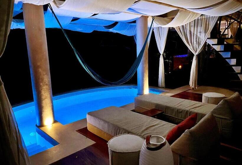 سوئیت با تخت بزرگ, Zoa Hotel   Adults Only