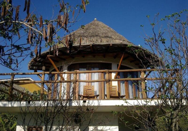 سوییت, Zoa Hotel   Adults Only