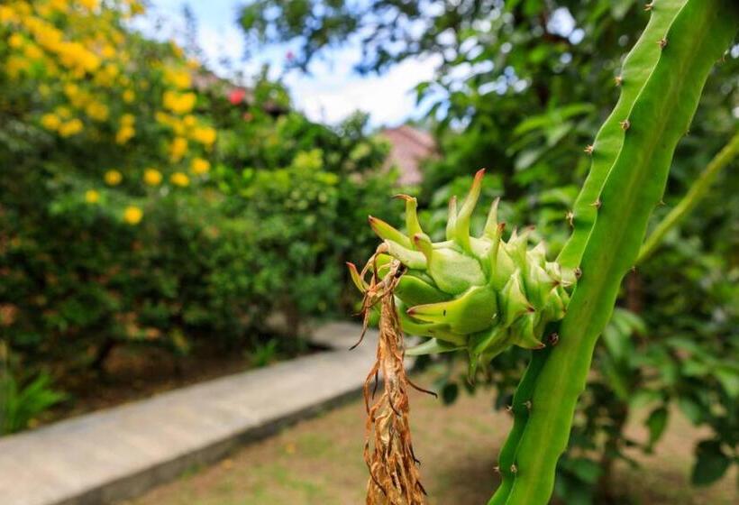اتاق لوکس با چشم‌انداز باغ, Bang Po Garden