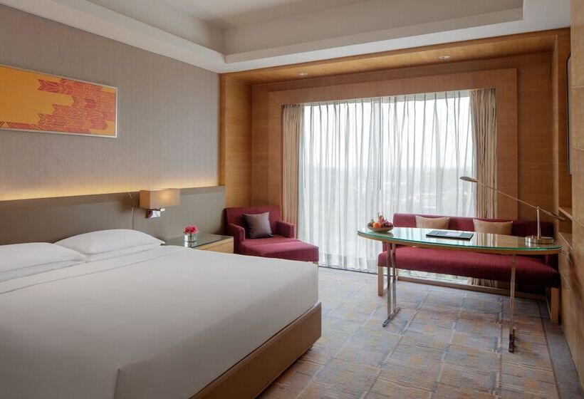 اتاق استاندارد با تخت دوبل و چشم‌انداز, Hyatt Regency Chandigarh