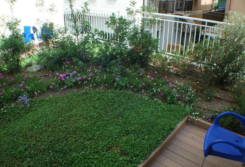 اتاق سوپریور چهار تخته, Miramare