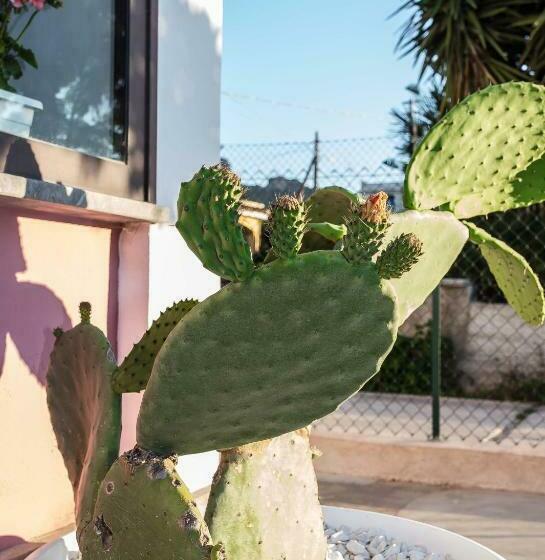 اتاق استاندارد سه نفره, Miss Sicily B&b