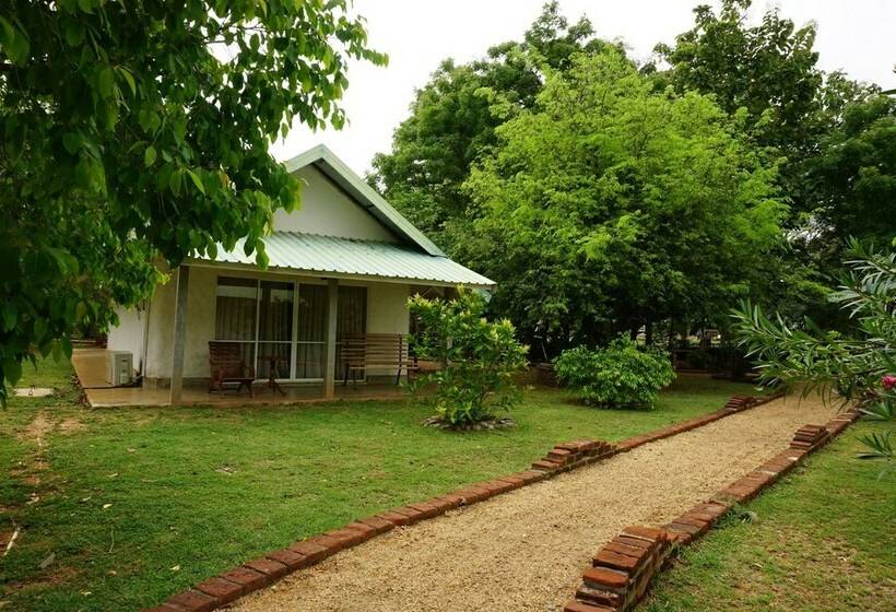 کلبه ییلاقی, Rangiri Dambulla Resort