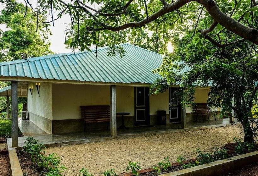 کلبه ییلاقی, Rangiri Dambulla Resort