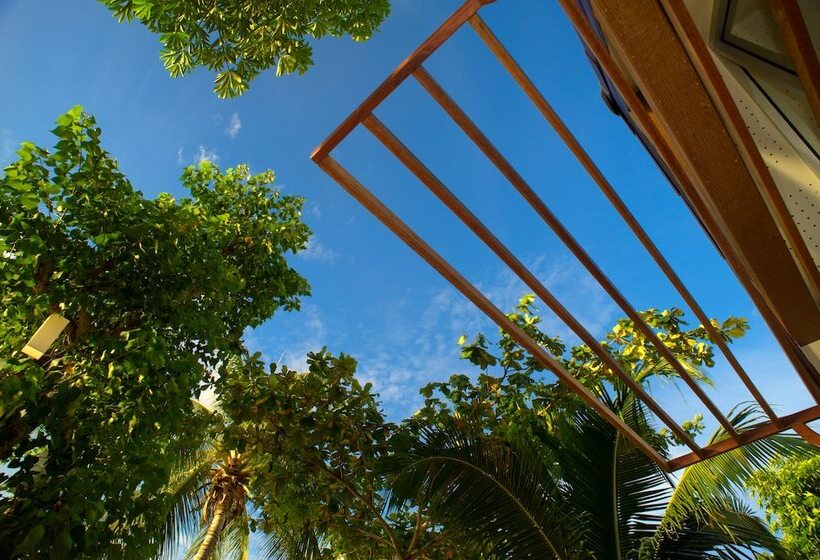 ویلای 1 خوابه با چشم‌انداز دریا, At Samui Haus