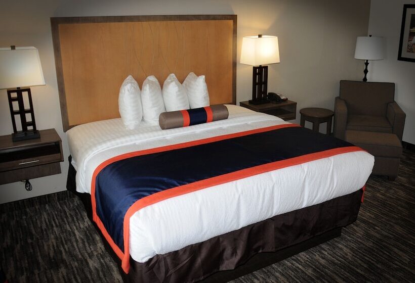 اتاق استاندارد با تخت دوبل برای معلولان, Best Western Plus Ardmore Inn & Suites