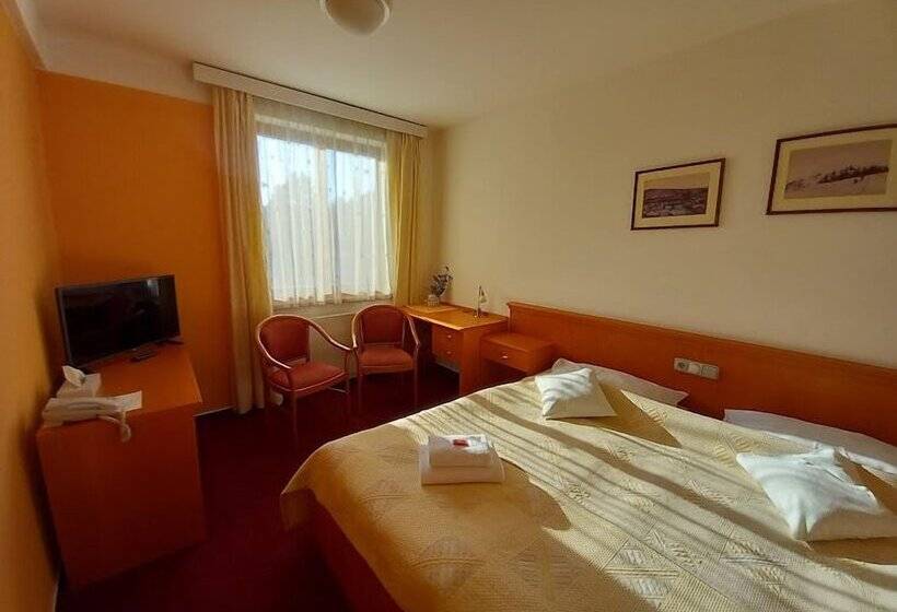 Standard Single Room, U Beranka Nachod